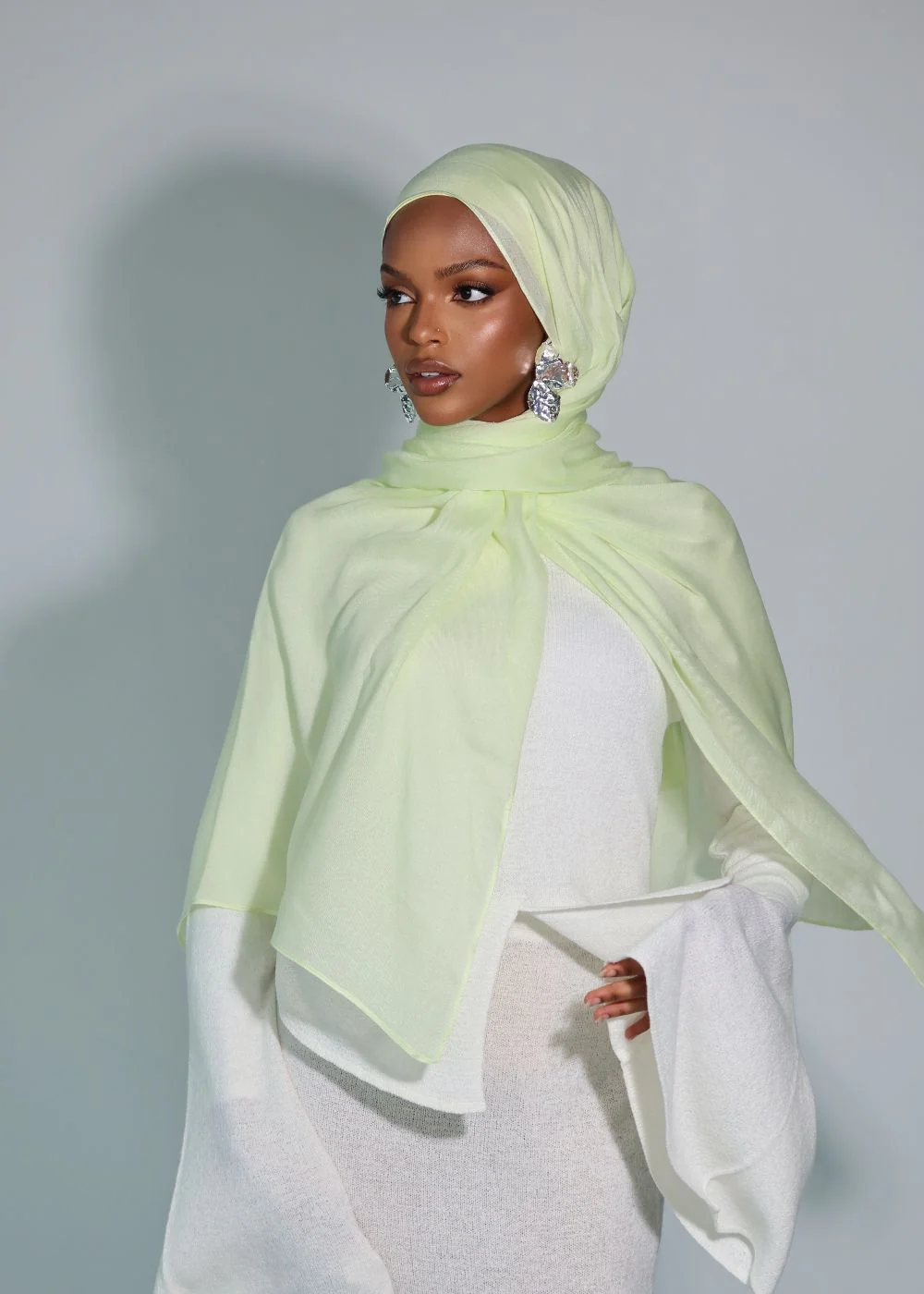 Lime Premium Modal - Image 3