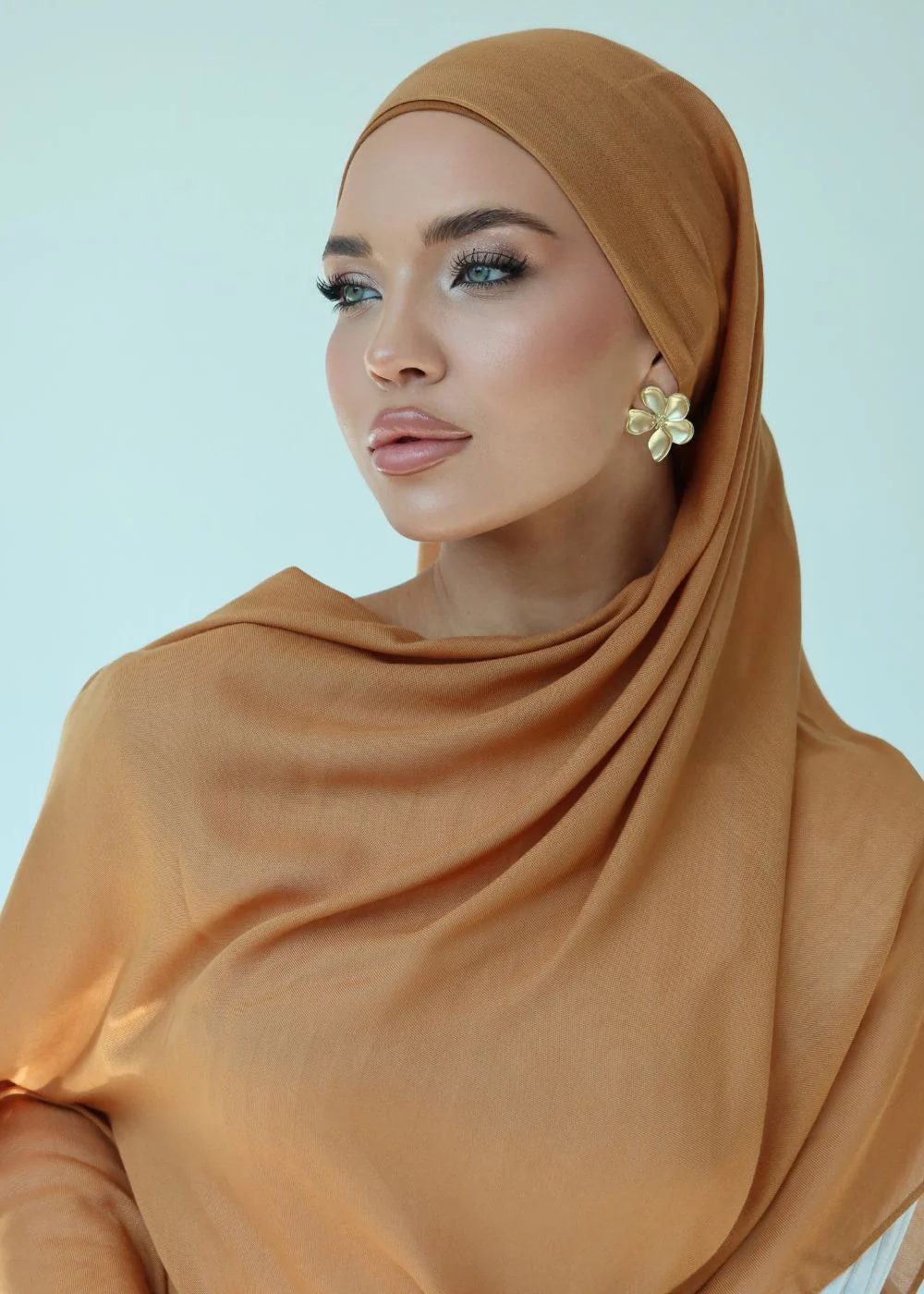 Terracotta Premium Modal - Image 6