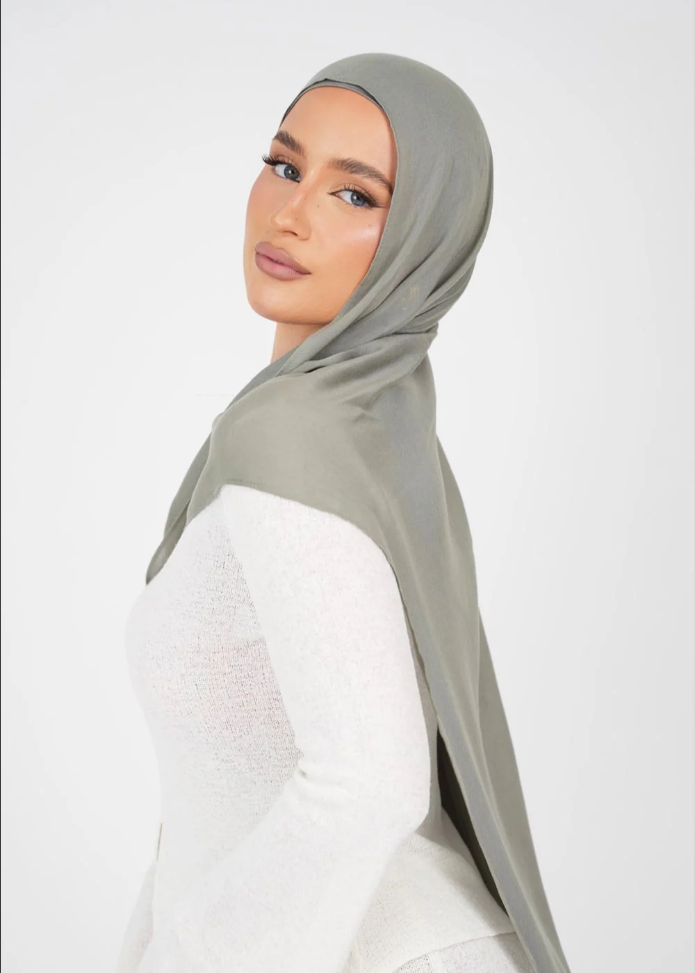 Zeolite Premium Modal - Image 3
